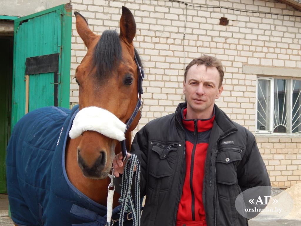 Александр Лис и Эшби стали первыми на кубке республики по конкуру в Ратомке  — Новости Орши