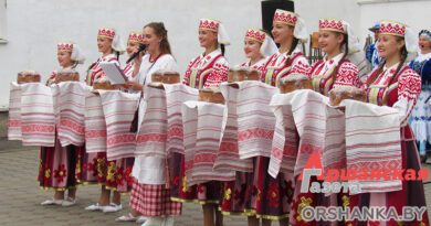 В Оршанском районе проходит Международный пленэр народного декоративно-прикладного искусства | фото