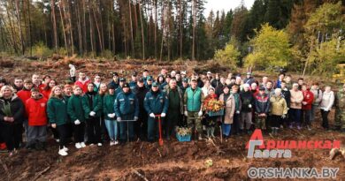 Оршанцы присоединились к акции «Дай лесу новае жыццё» | фото