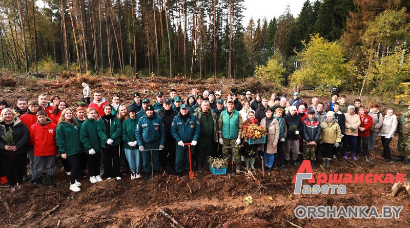 Оршанцы присоединились к акции «Дай лесу новае жыццё» | фото