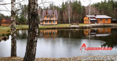 В Оршанском регионе возрождают усадьбу Деда Мороза