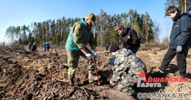 Оршанцы одни из первых приняли участие в акции «Дай лесу новае жыццё!»